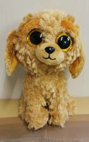 Glubschi Hund Noodles