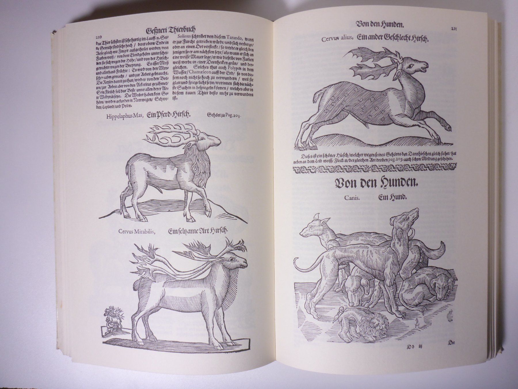 Bücher: Conrad Gesner: Thierbuch – Gebraucht aus Erschwil von taglang 6