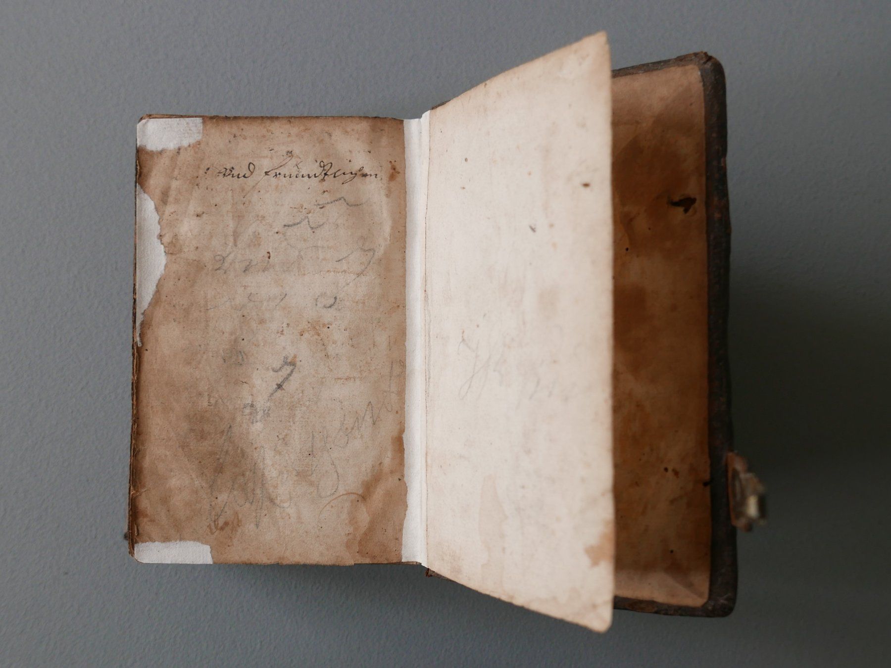 Libri: ANTIKES BUCH NEUES TESTAMENT – Usato da Balgach venduto da Zwischenraum 7