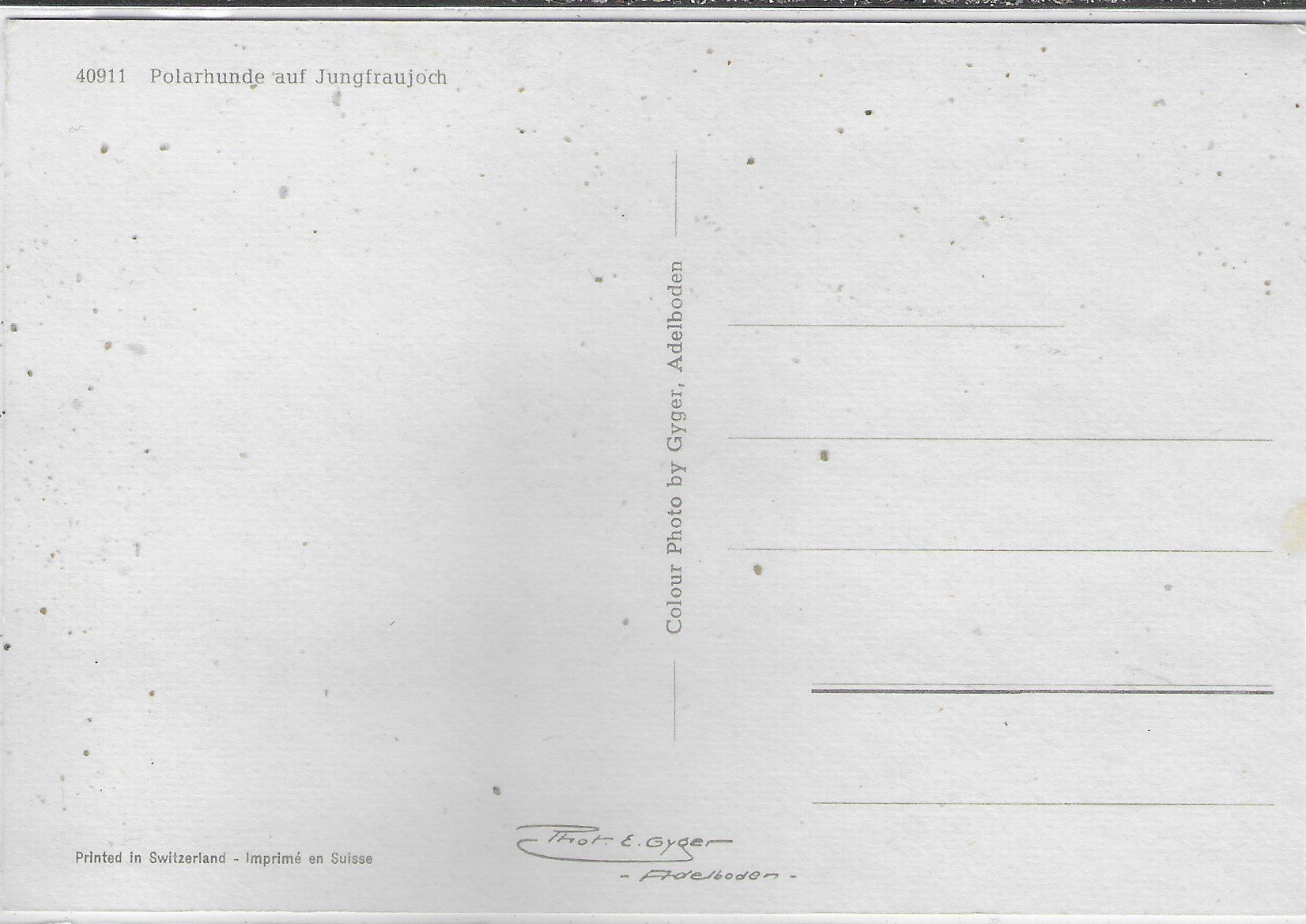 Cartoline postali: Polarhunde auf Jungfraujoch – Usato da Ettingen venduto da Kartenplanet 1