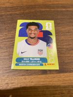 Panini USA 15