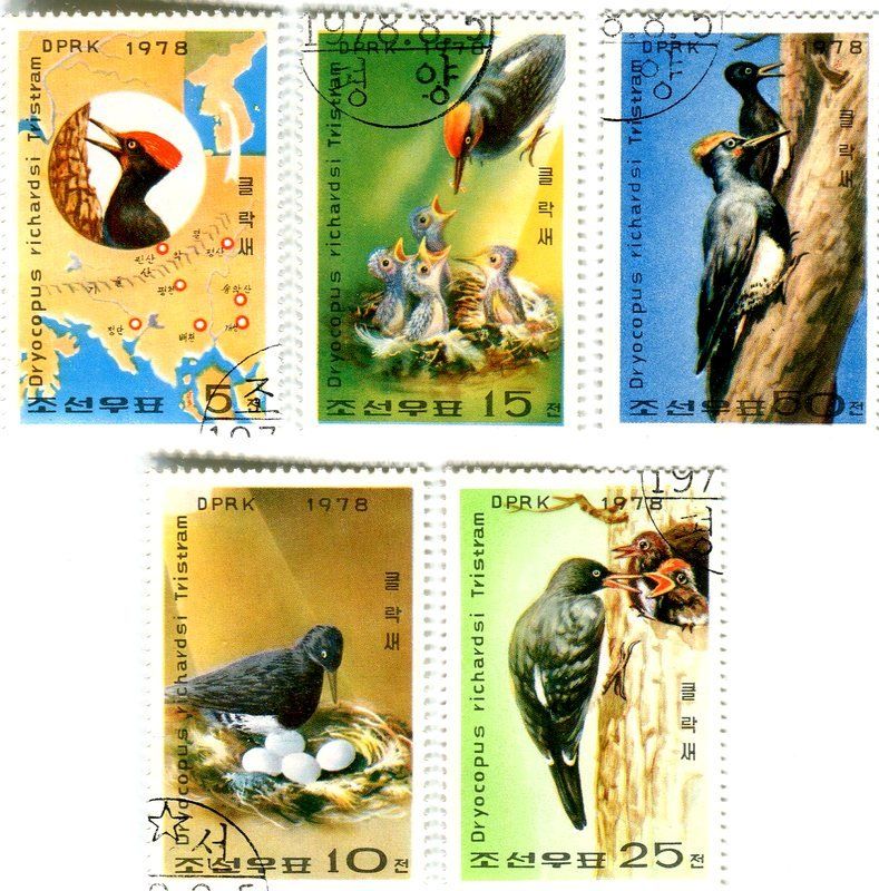 Tous les timbres: Briefmarken "Spechte". Korea. – Neuf avec emballage d'origine à Basel par Butsch5
