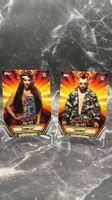2019 Topps WWE SummerSlam – Kartenlot (10 Karten)