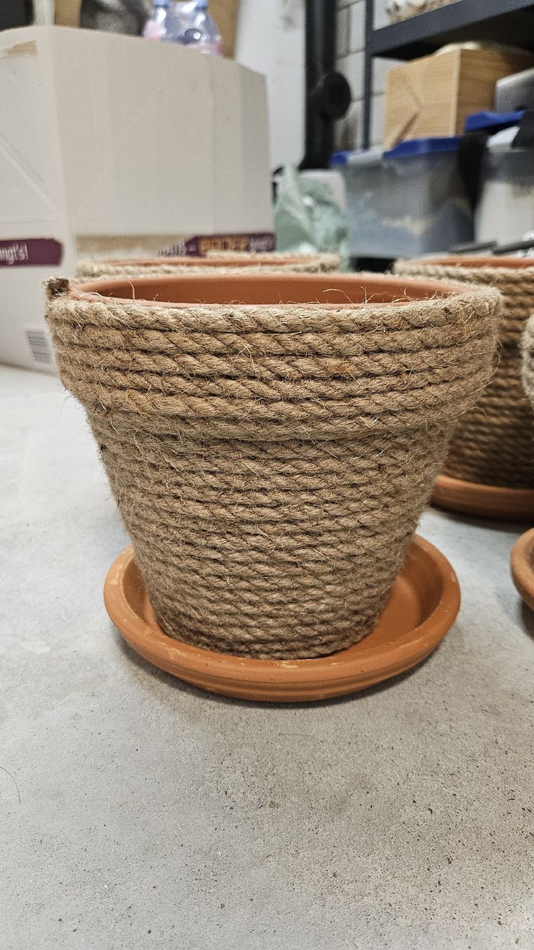 Lambert Pots de fleurs: Blumentöpfe – D'occasion à Buchs SG par Tscherfi 1