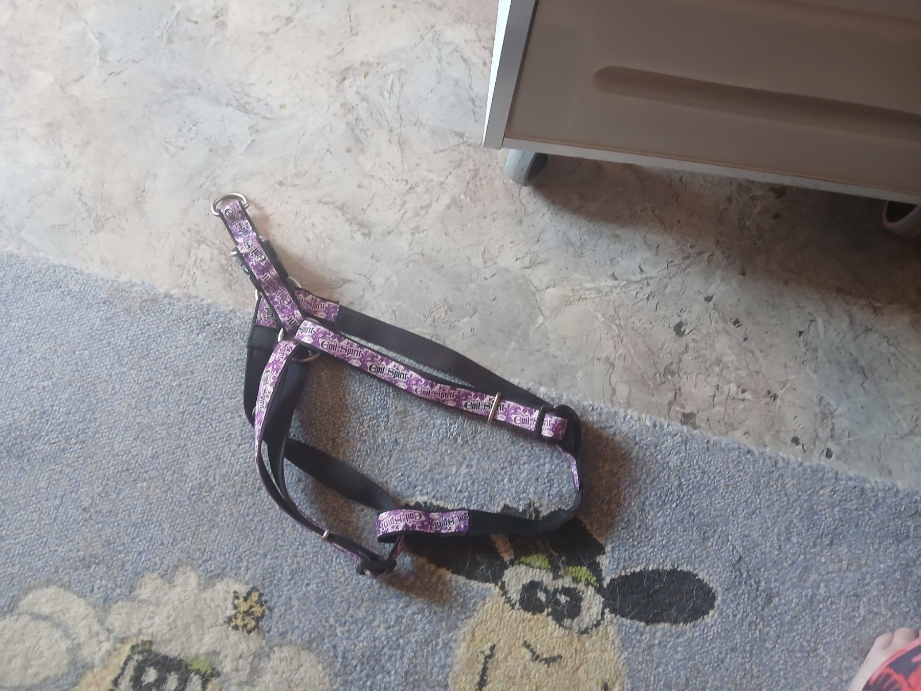 Swisspet Collier et laisse: Geschirr Hund – Neuf (Voir description) à Oberramsern par lal_7v57