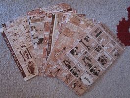 50 pages  Tintin  différents  feuilles plastifiées