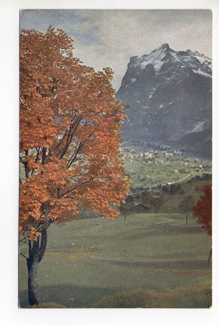 Cartoline postali: GRINDELWALD Wengernalp- und Jungfraubahn – Nuovo (secondo la descrizione) da Jona venduto da philajona