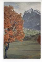 GRINDELWALD Wengernalp- und Jungfraubahn
