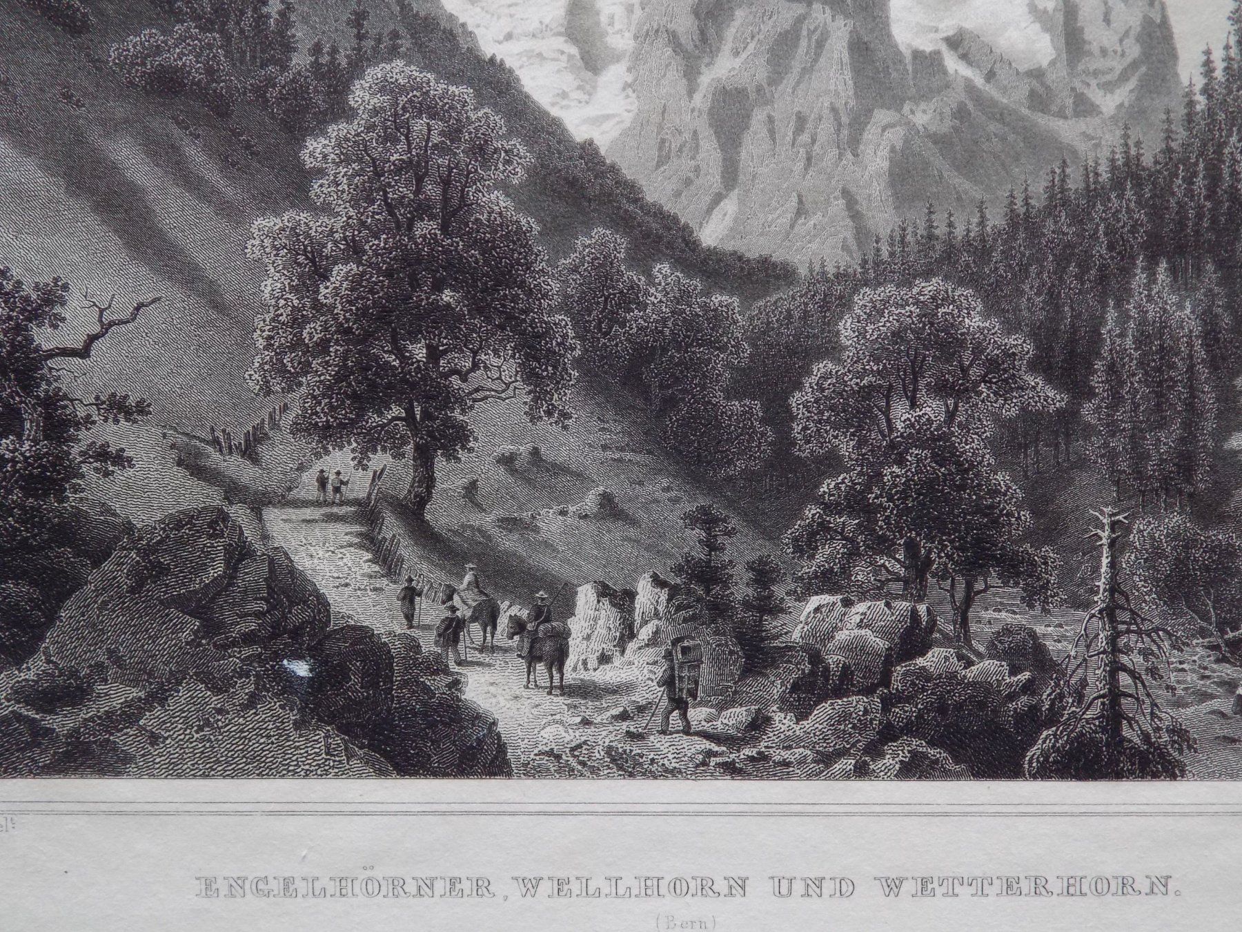 Incisioni: Engelhörner Wellhorn und Wetterhorn – Usato da Risch venduto da Antikfee 1