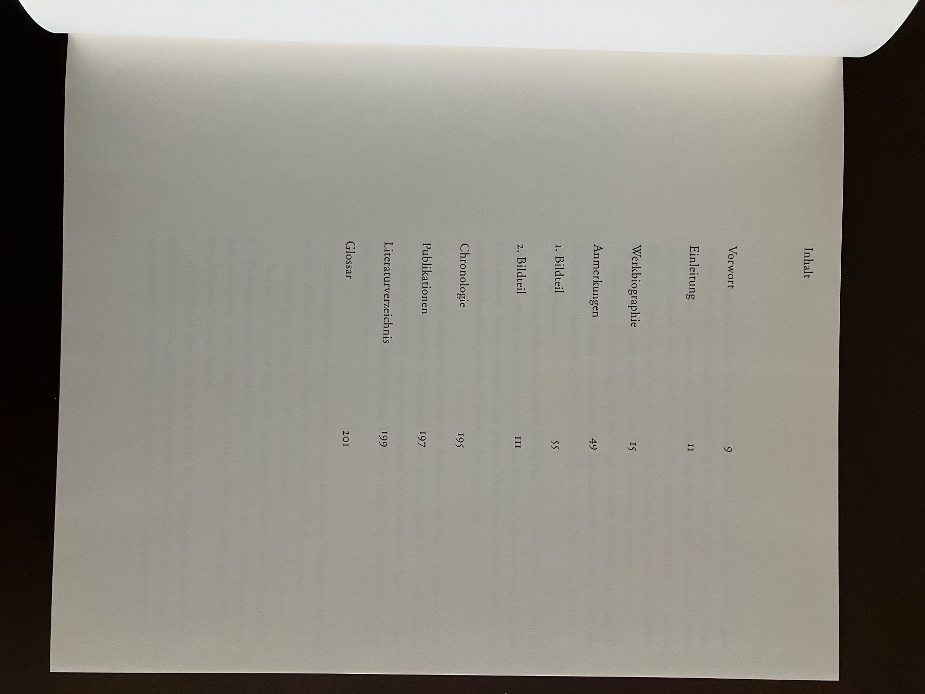 Libri: Kunst - Naftali Bezem – Usato da Menziken venduto da timbuktu1001 1