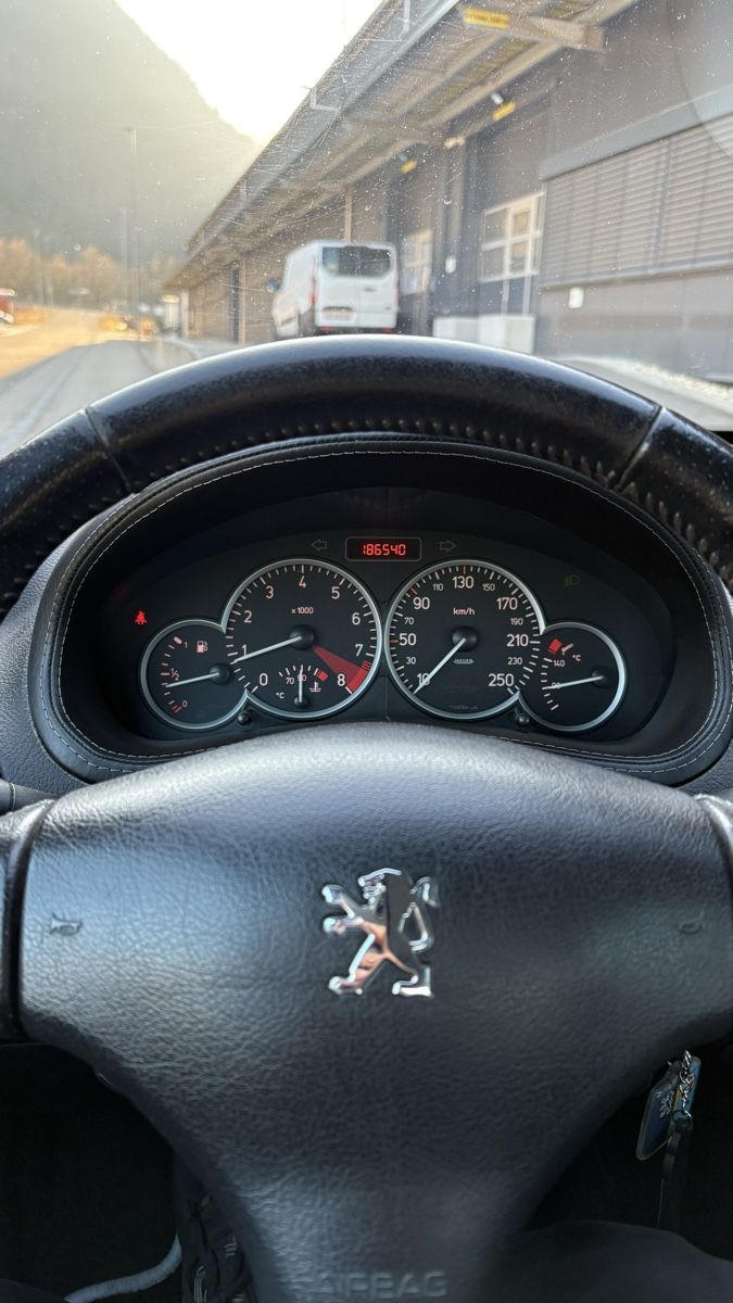 Peugeot Automobili: 206 RC 177 – Usato da Moutier venduto da Saxoseizesoupapes 8