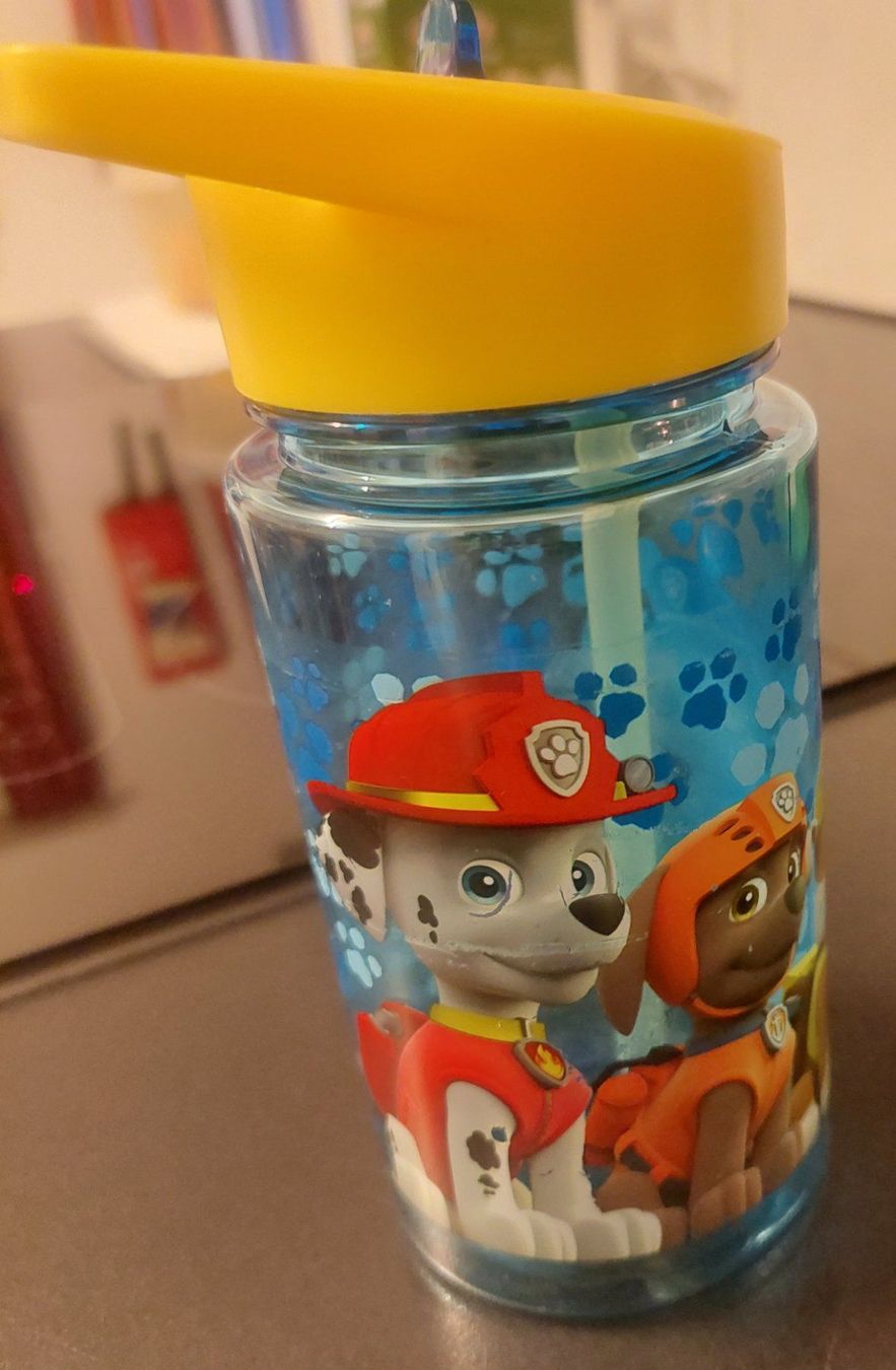 Trinkflaschen & Thermosflaschen: Paw patrol Trinkflasche mit intregiertem Strohalm – Gebraucht aus Unterbäch VS von Nifadi