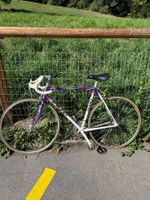 Rennvelo Giant Peloton Lite lila weiss gebraucht