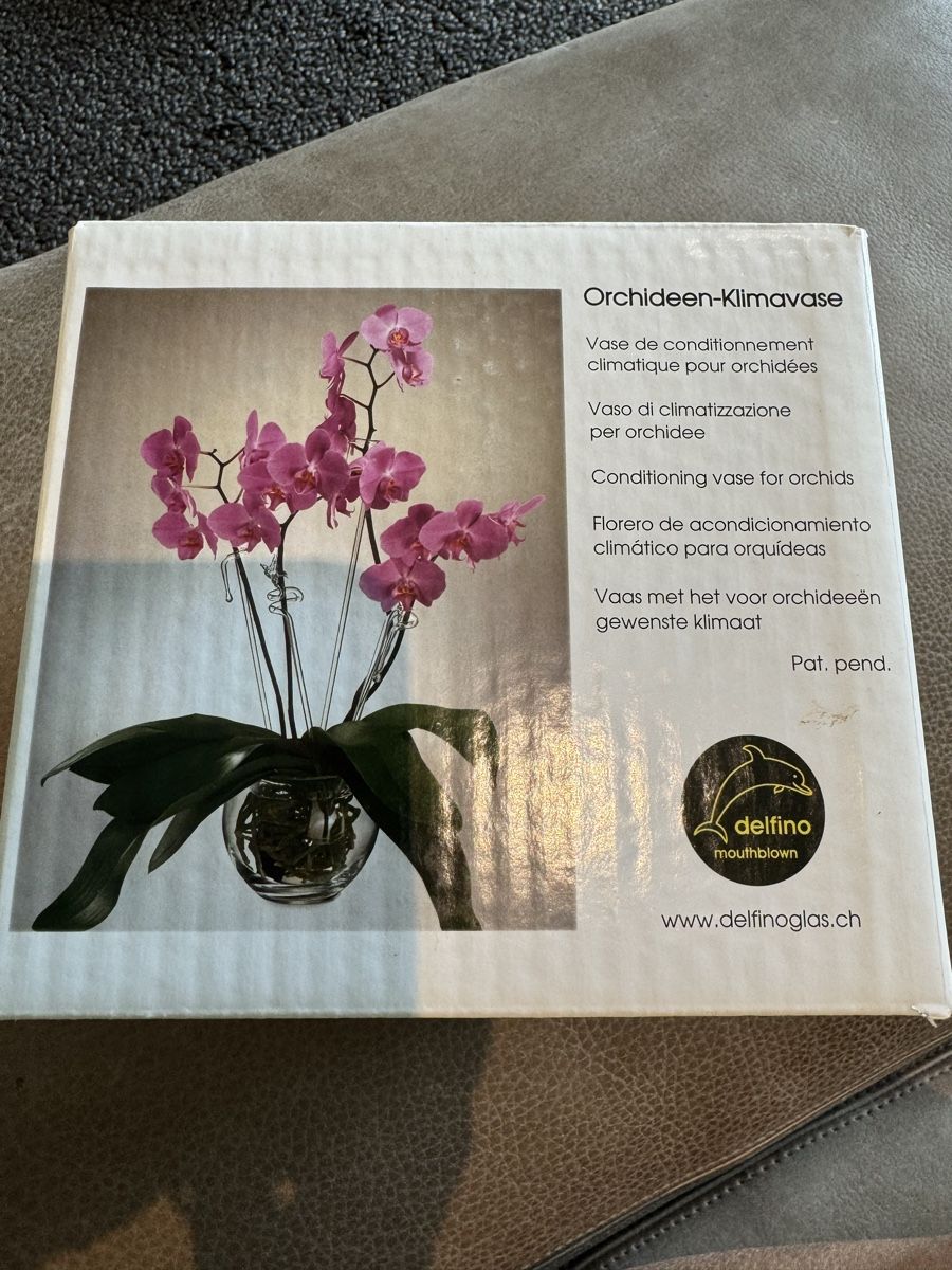 Vasi per fiori: Orchid pot – Nuovo (secondo la descrizione) da Münchenstein venduto da ArleneLM 1