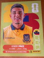 Panini ECU11