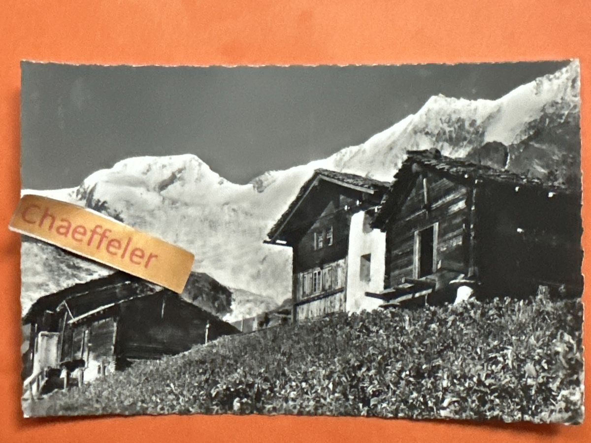Cartoline postali: Saas-Fee, Täschhorn & Alphubel – Usato da Zürich venduto da Chaeffeler