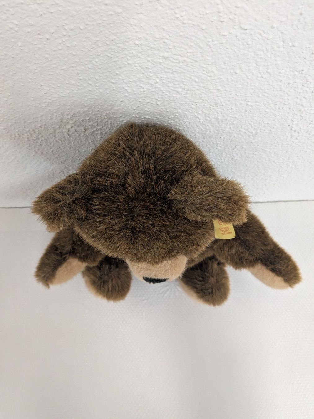 Steiff Spielzeuge: Steiff Teddybär 021725 - Top Zustand – Gebraucht aus Weinfelden von blaukreuz_brocki_TG 5