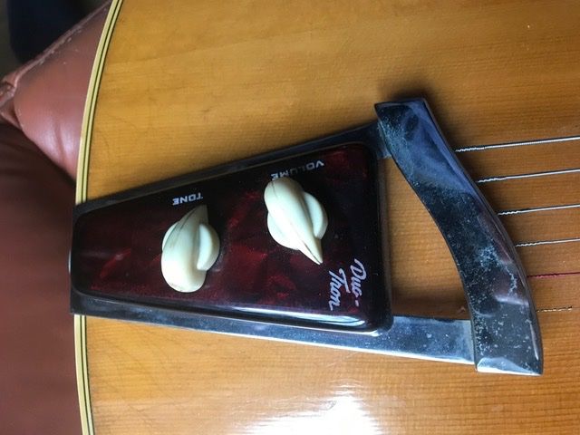 Strumenti musicali: VEGA Archtop Gitarre – Usato da Zürich venduto da gemuesebouillon 7