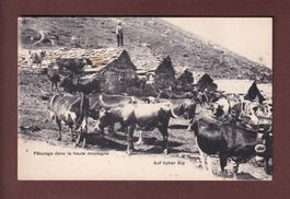 Pâturage en HAUTE MONTAGNE - Vaches / Auf HOHER ALP - Kühe