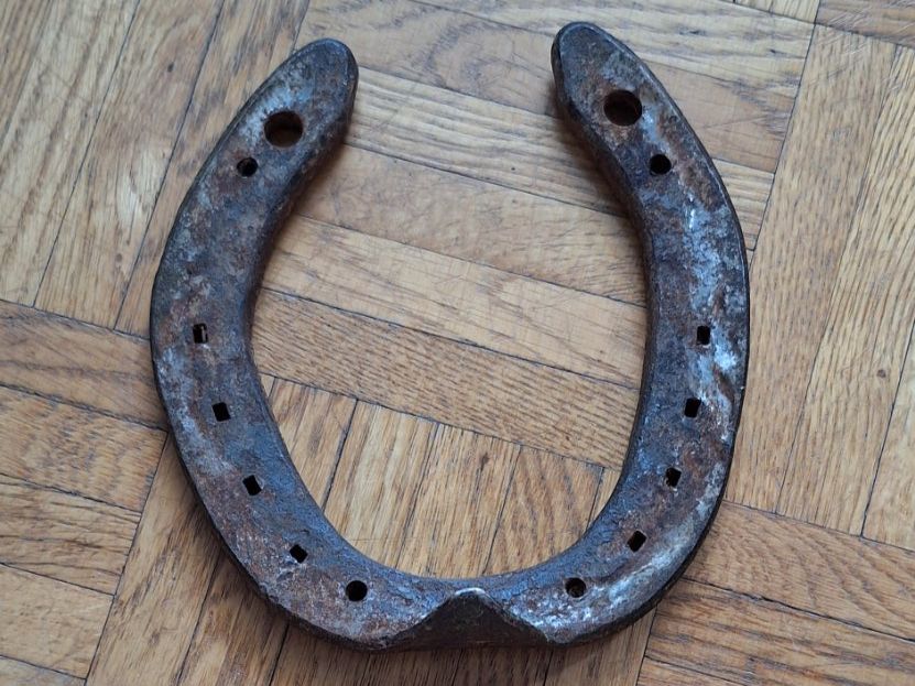Altro in Accessori per animali: Hufeisen – Usato da Wetzikon ZH venduto da NaWetzi 2