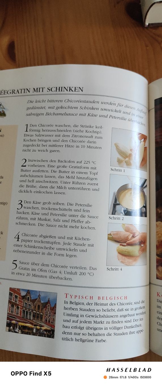 Libri: Aufläufe und Gratins – Usato da Volken venduto da katz5 4