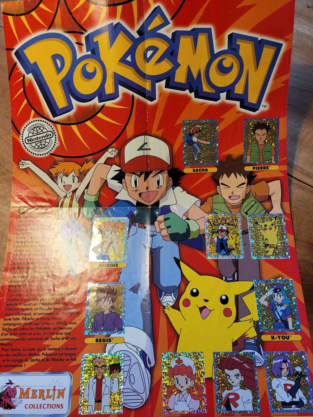 Album: Album Stickers Pokémon – Usato da Lausanne venduto da fab_r56t 1