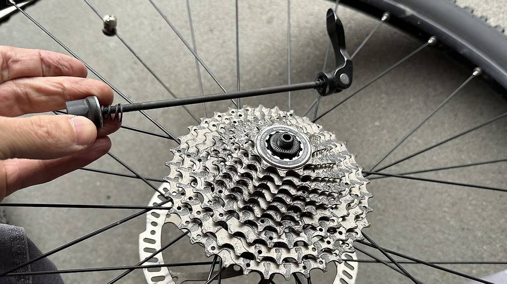 Pezzi di ricambio: E-Bike Räder 29 Zoll – Usato da Brunnen venduto da mar_9rh6 2