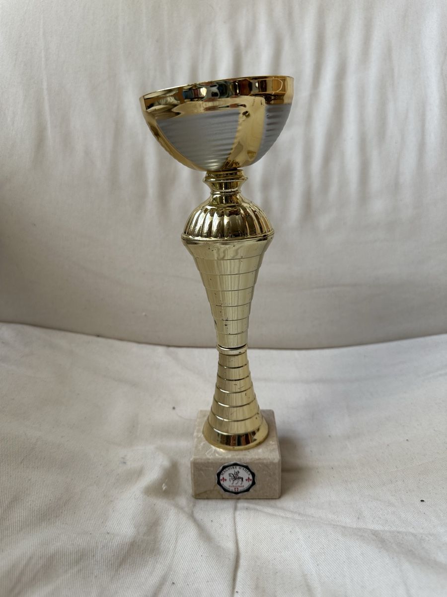 Sonstiges zum Sammeln & Seltenes: Goldener Pokal – Gebraucht aus Basel von ari_f26x