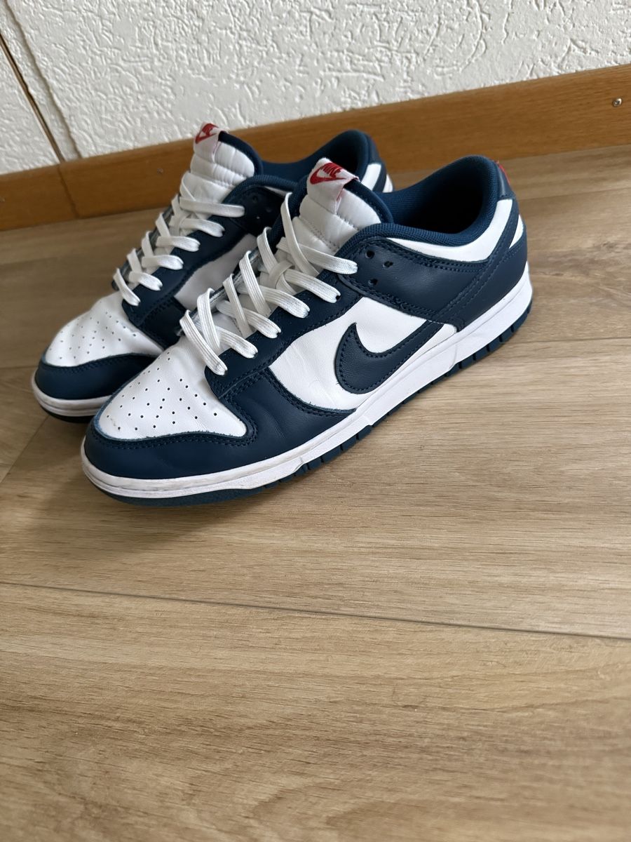 Nike Scarpe da uomo: Nike Dunk Low Retro – Usato da Boppelsen venduto da lev_85hh