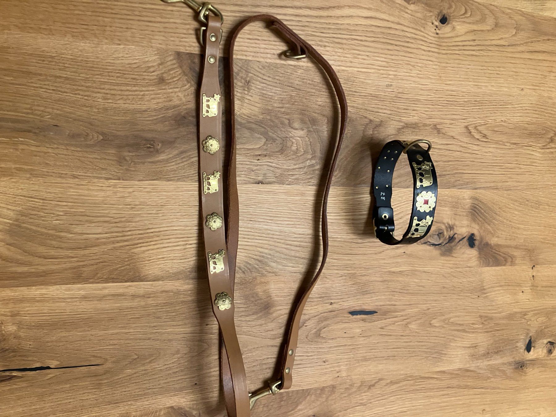 Leine & Halsband: Hundeleine – Gebraucht aus Domat/Ems von edmund61