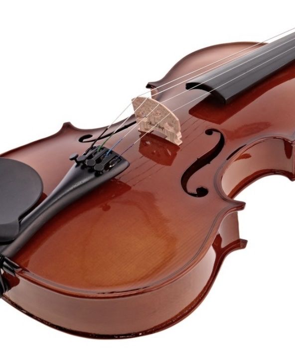 Strumenti musicali: Stagg VN-4/4 Full Size Violin Outfit – Solid Spruce & Maple  – Nuovo e nell'imballaggio originale da Zürich venduto da ann_m2vs 2