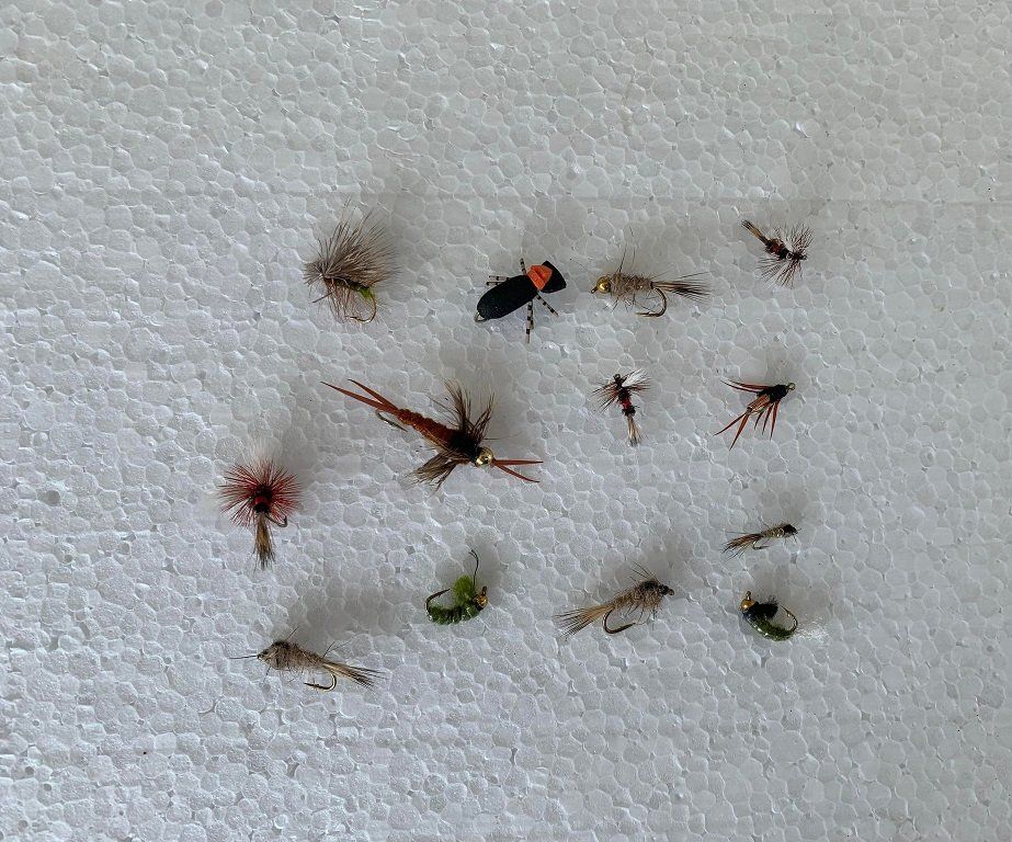Esche: 12 Stück verschidne Fliege – Nuovo e nell'imballaggio originale da Kehrsatz venduto da ba-ch