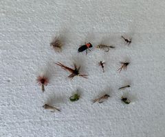 12 Stück verschidne Fliege