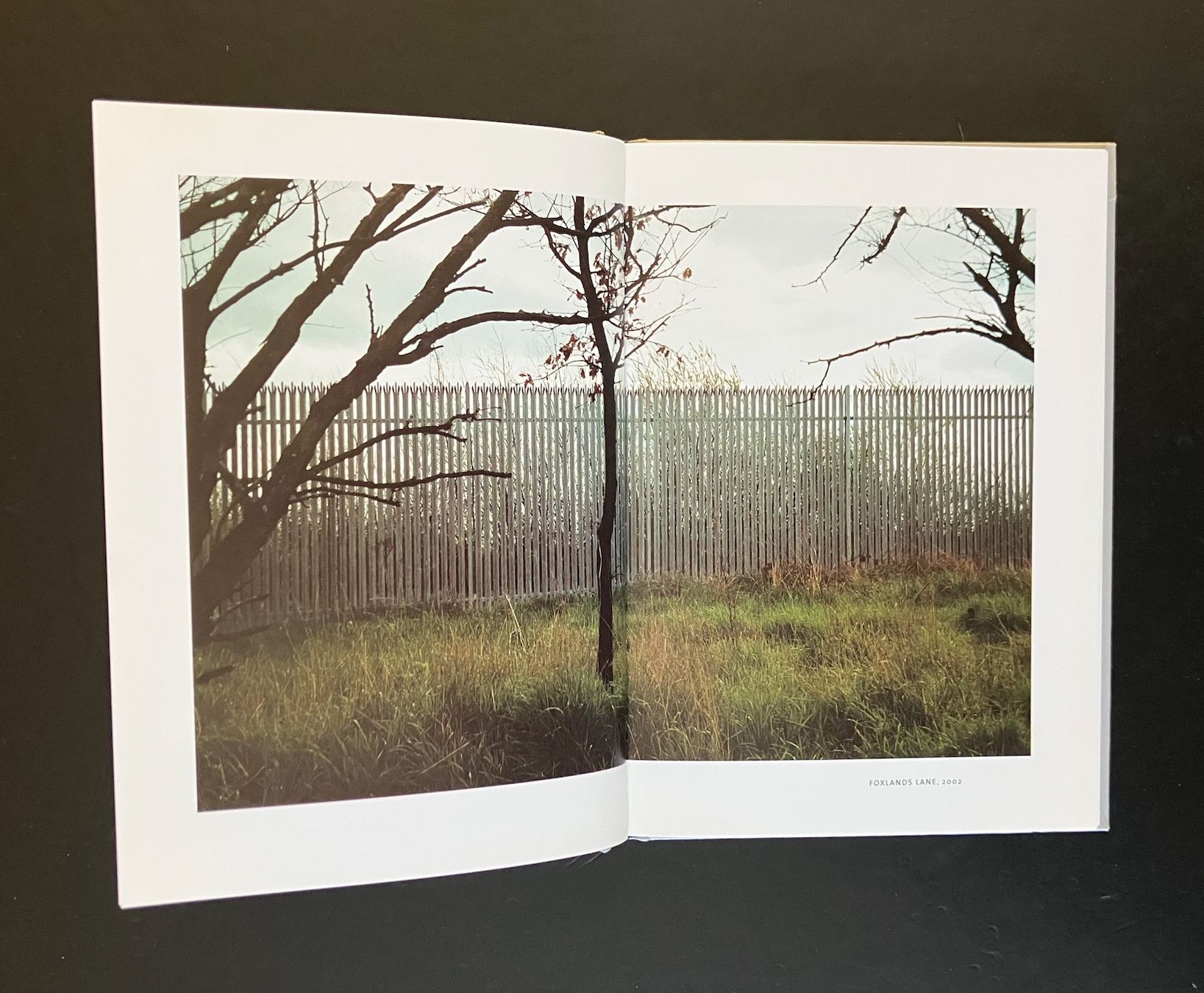 Libri: claudio moser ... walk on ... fotomuseum winterthur – Usato da Allschwil venduto da rotocker 7
