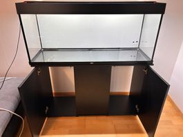Juwel Aquarium Rio 240 Kombination all inklusive