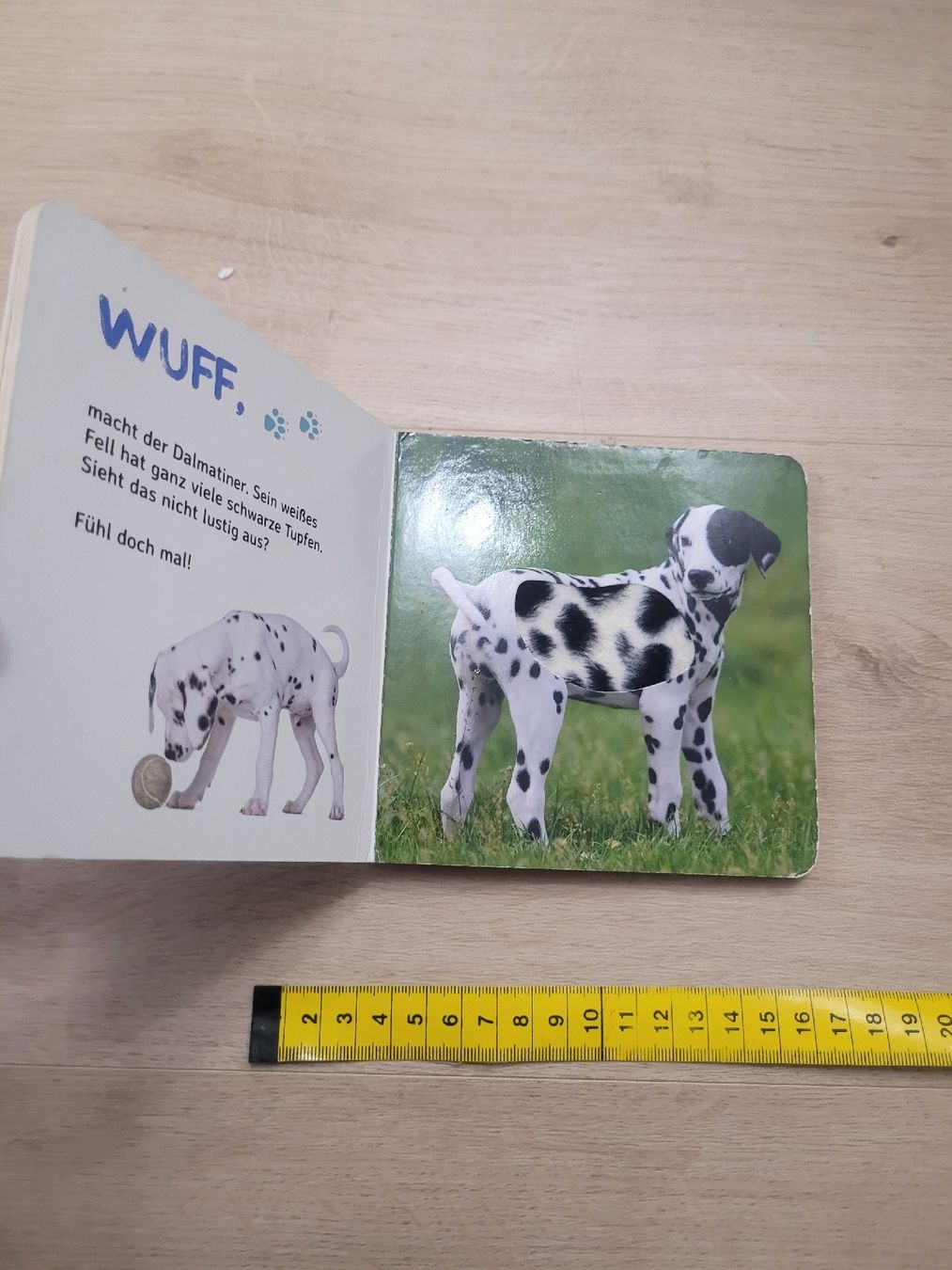 Libri: Streichelbuch Haustiere – Usato da Lupsingen venduto da sta_wgg5 1