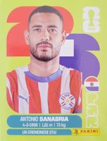 Panini FIFA World Cup PAR 20