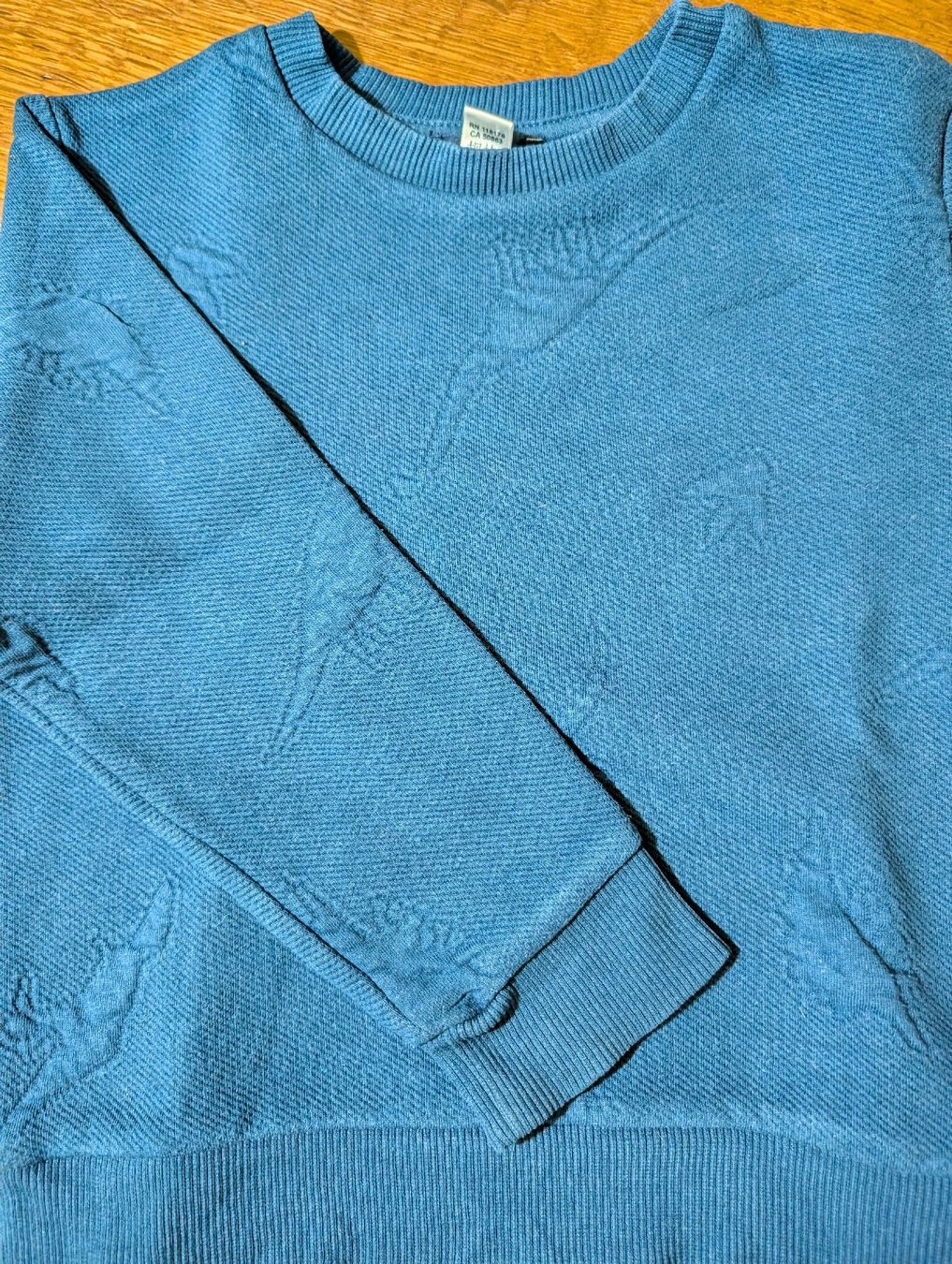 Maglioni & Felpe: Dinosaurier Pullover, Gr. 98/104, blau – Usato da Bern venduto da Zorro333 1