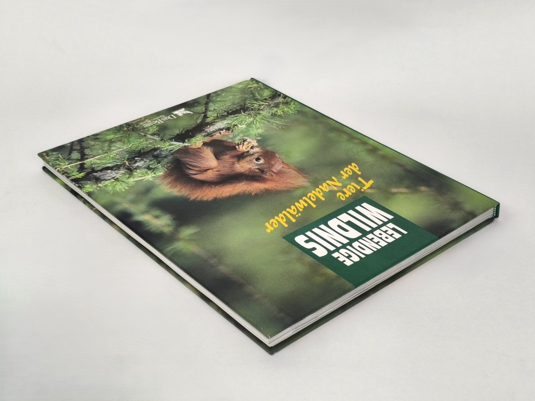 Livres: BUCH - Tiere der Nadelwälder – D'occasion à Schaffhausen par Restwert_SH 3