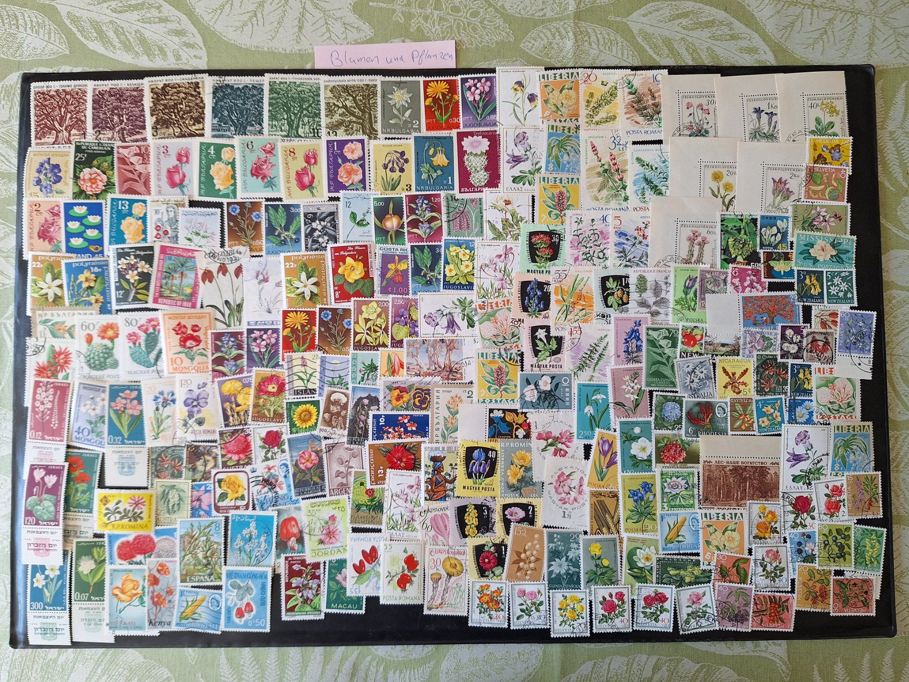 Tutti i francobolli: Grosse Blumen und Pflanzen-Sammlung – Usato da Genolier venduto da Antoine30 1
