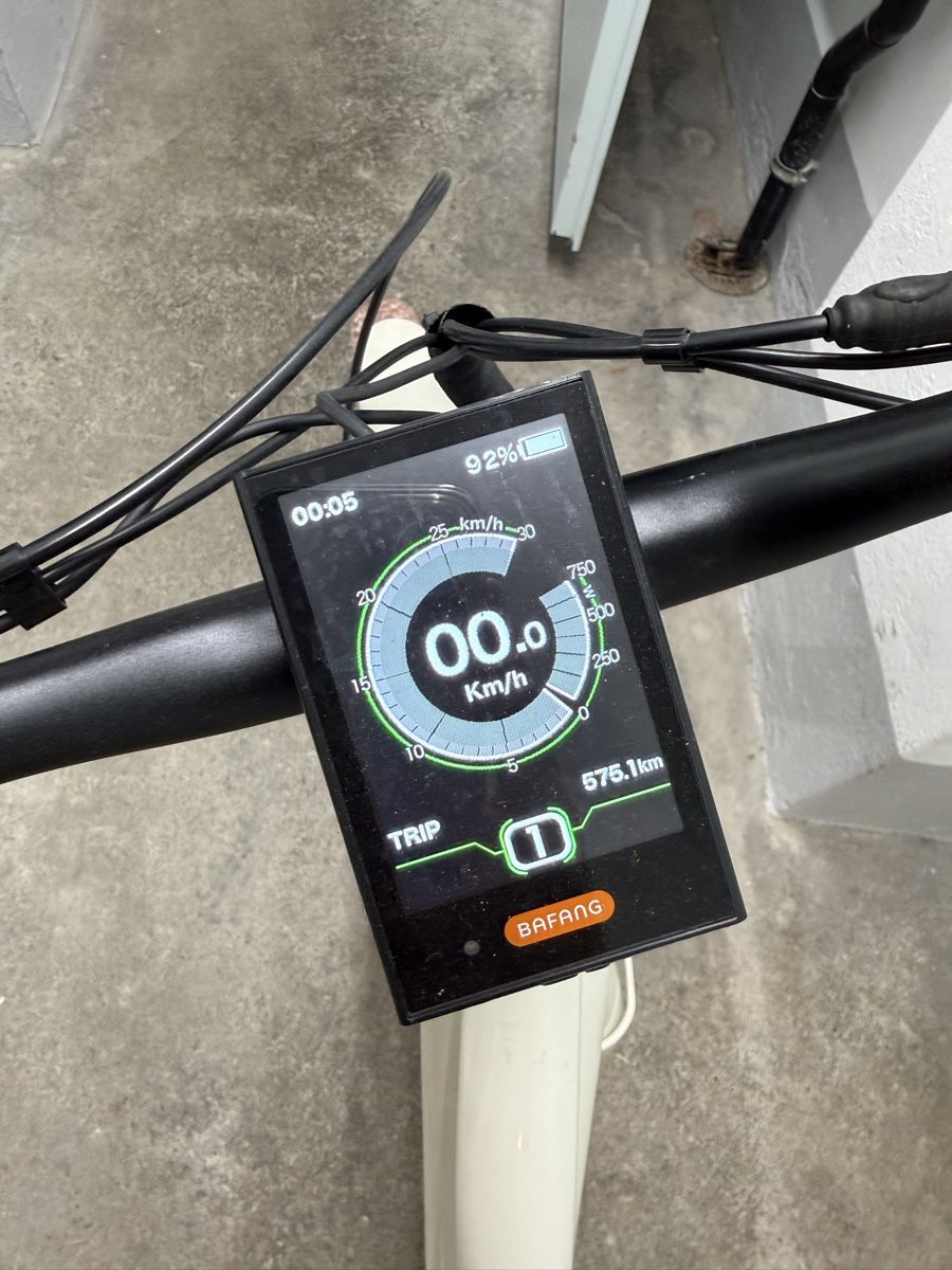Ego Movement Vélos: Ego Movement Jane Elektrovelo – Défectueux à Kilchberg ZH par veneto87 4