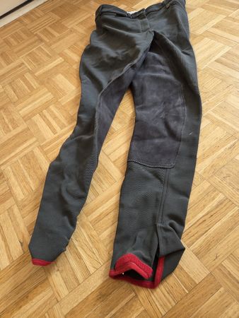 Euro-star Reithose