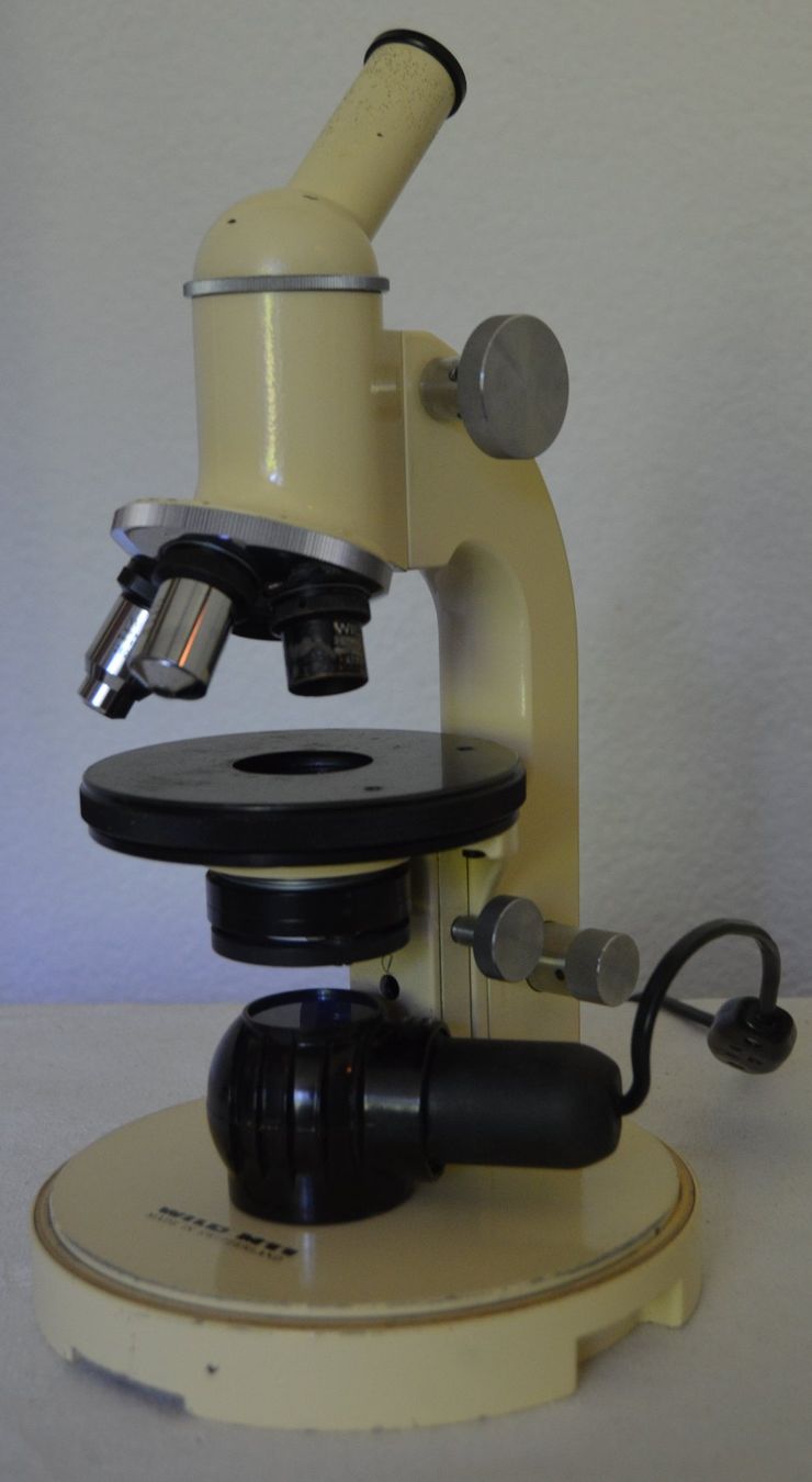Wild Microscopi: Wild Heerbrugg M11 Mikroskop  / microscope – Usato da Collonges venduto da arashee 5