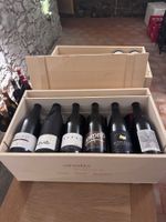 Vinotiv Graubünden Pinot Noir 12er Holzkiste original