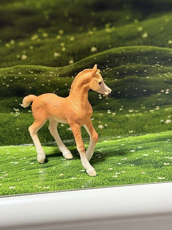 Schleich Statuette: Schleich Fohlen – Usato da Gümligen venduto da Sally777 2