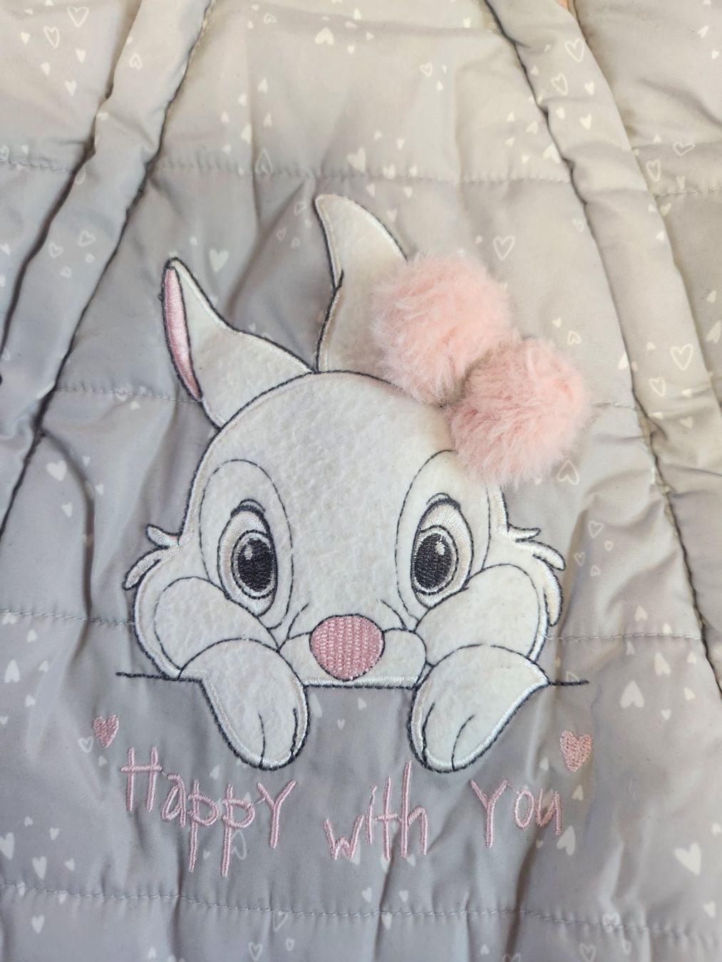 Jacken & Mäntel: disney baby overall winter C&A – Gebraucht aus Bözberg von Szni_9s8z 1