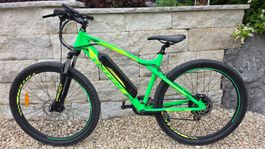 E-Bike Mountainbike im guten Zustand