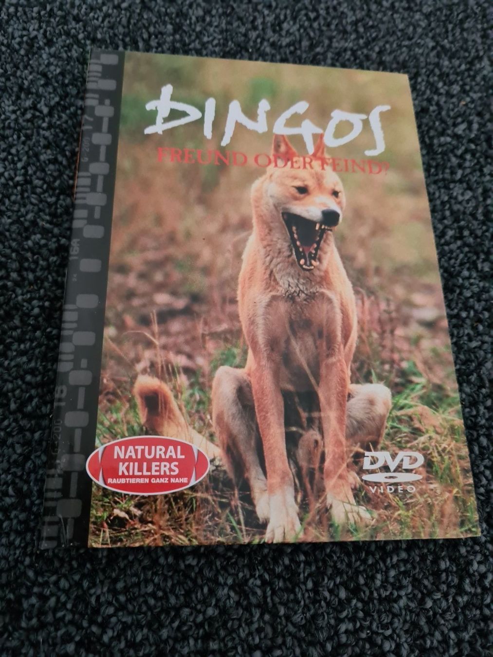 Alle DVDs: BINGOS FREUND ODER FEIND?(8557) – Gebraucht aus Ruswil von M71