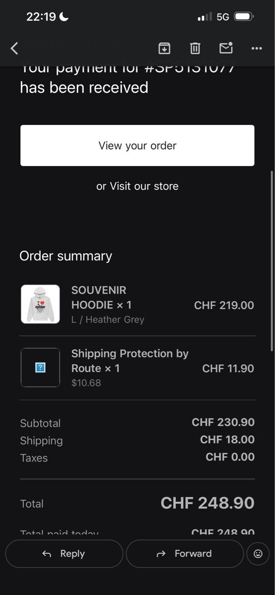 Maglioni & Felpe: Sp5der Young Thug Hoodie Souvenir – Nuovo (secondo la descrizione) da Vevey venduto da MangoMobb 5