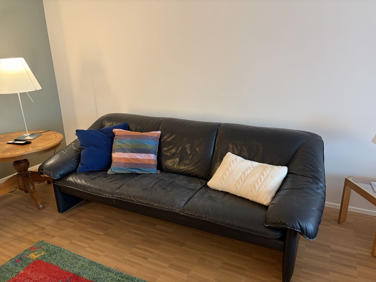 Divani: Vintage Leolux Ledersofa – Usato da Küsnacht ZH venduto da groovy44